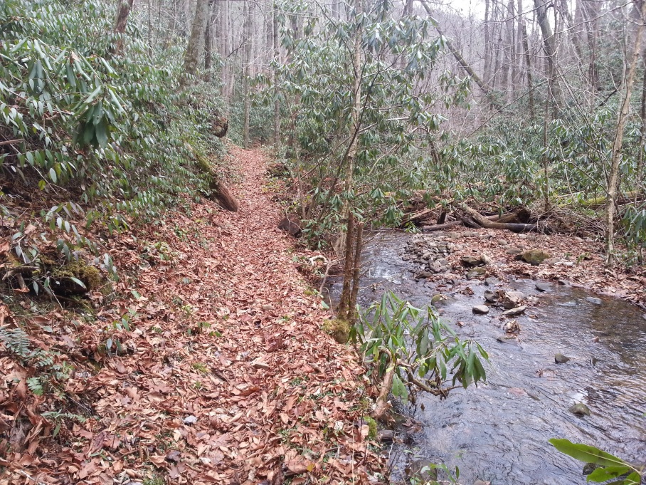 The Pole Road Creek Trail 